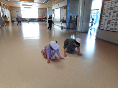 DSCN0801