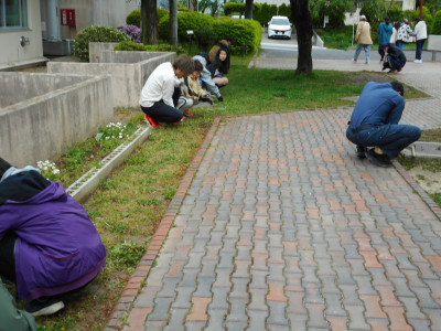 DSCN0867