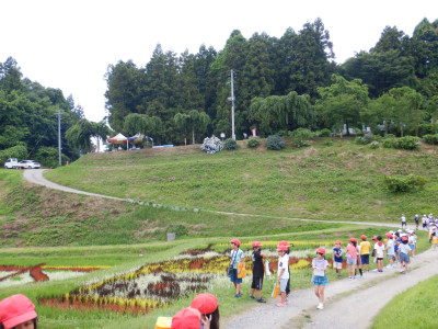 DSCN4520