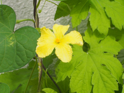P1010057
