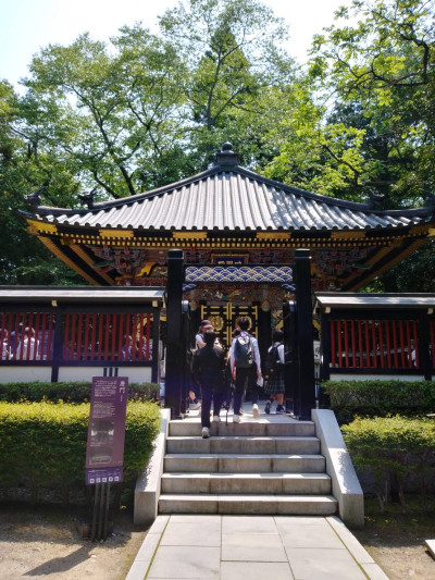 image0 (20)