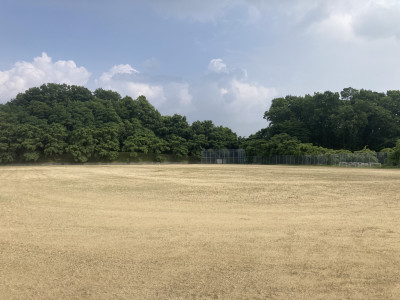 image1 (8)