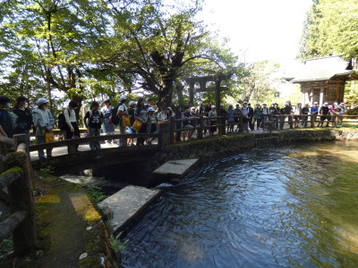 P1100571
