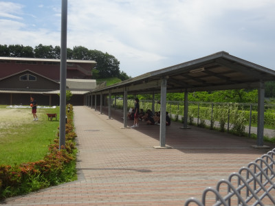 DSC02450