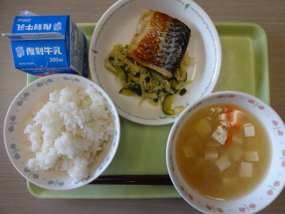 DSC00518