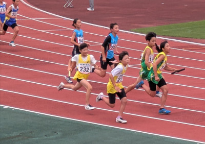 markup_1000010145